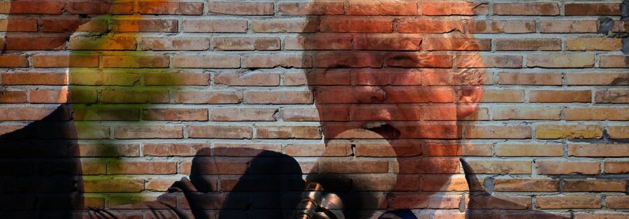 trump, president, america, politics, government, donald, presidential, republican, politician, trump, trump, trump, trump, trump